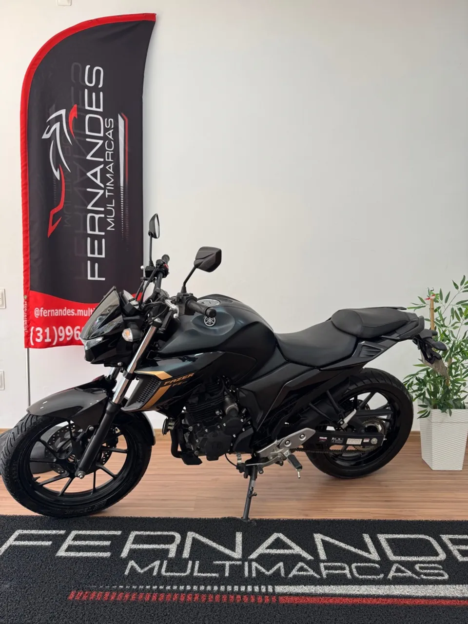 Fazer 250 fz25