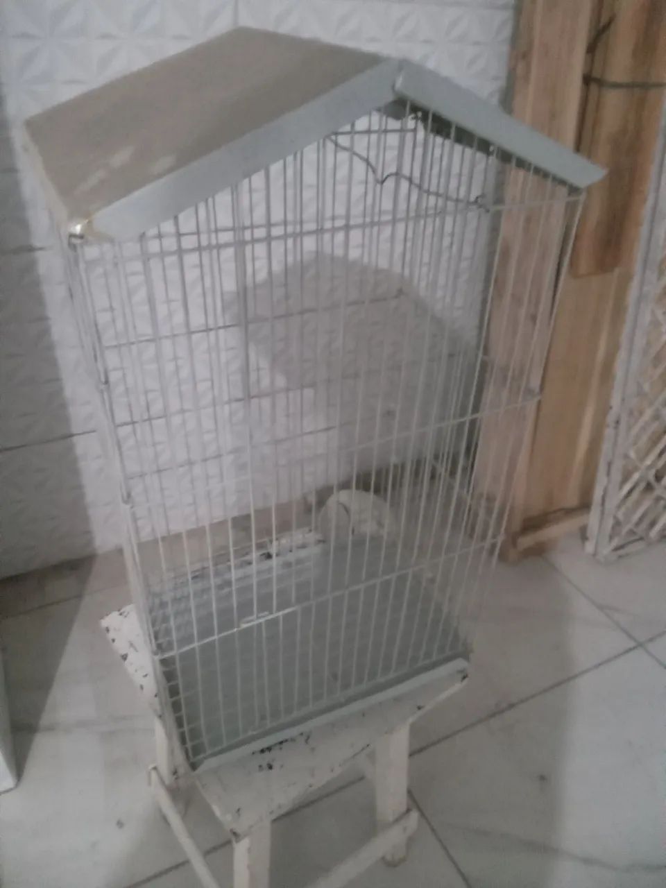 Duas gaiolas 64304560303875121