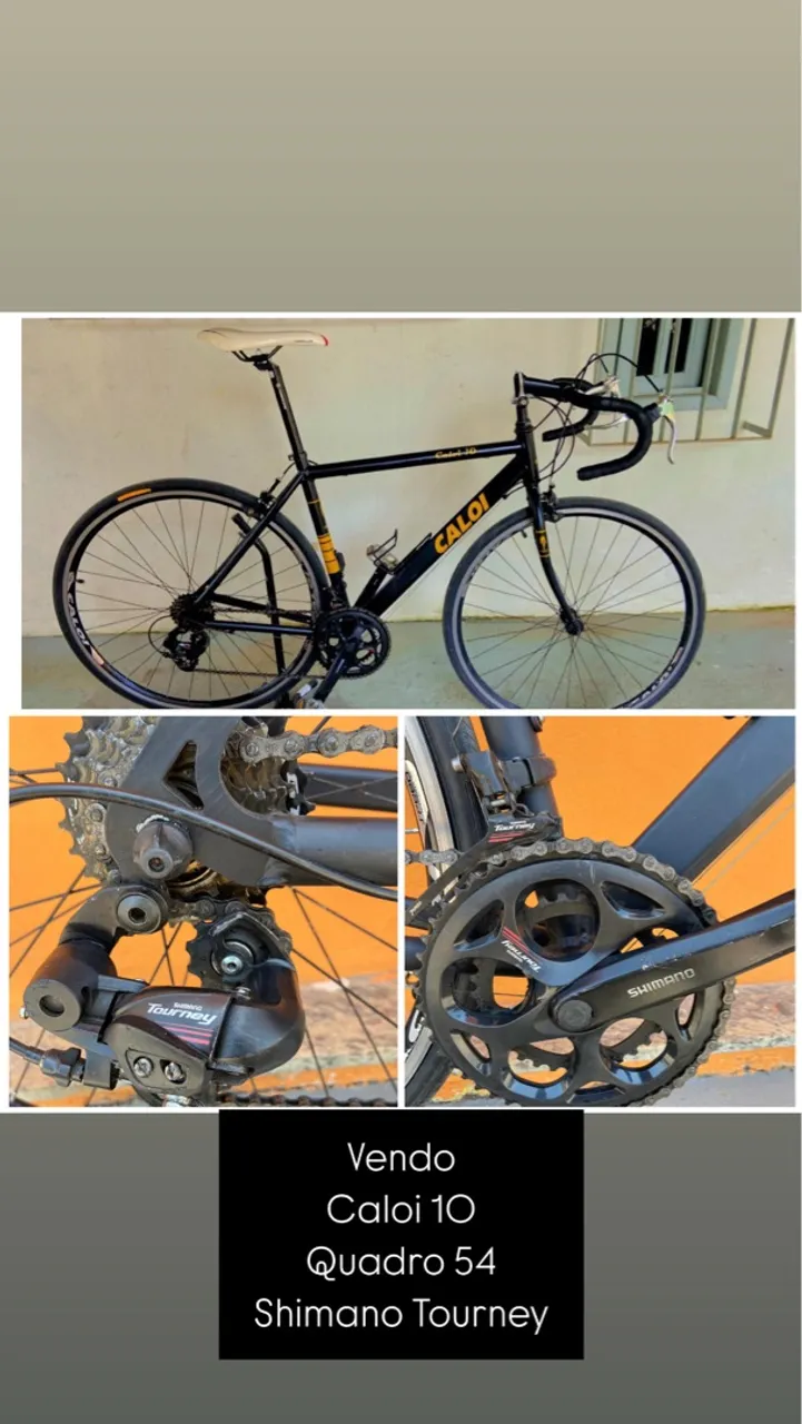 Bicicleta Caloi 10