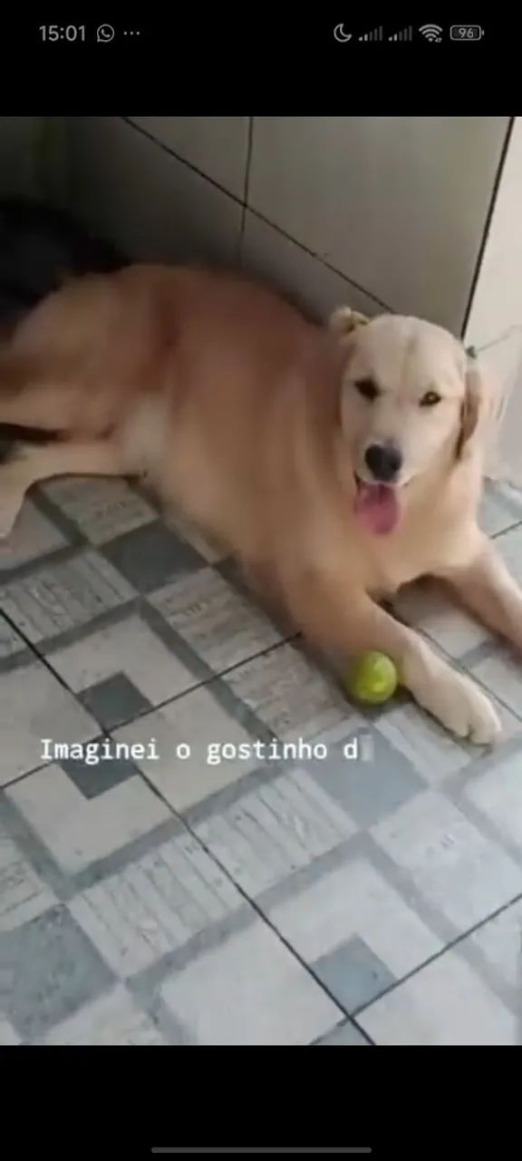 Golden 