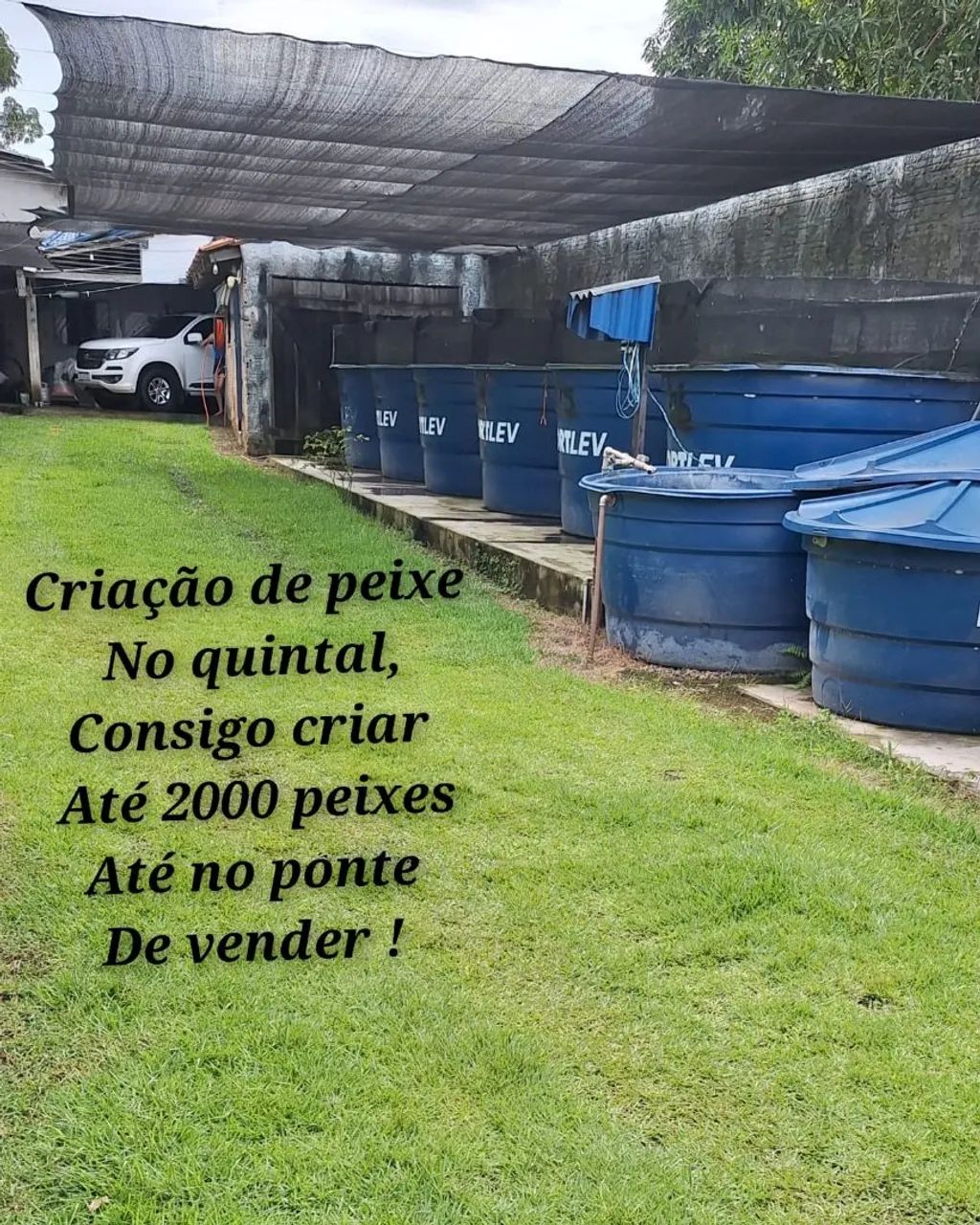 Vendo tudo Cedere 1 perto de Parauapebas. - Foto 2
