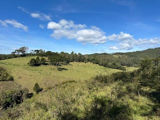 2 terrenos de 2,5 ha cada em Rancho Queimado ? a 1,5 km do Centro, documentação OK - Foto 4