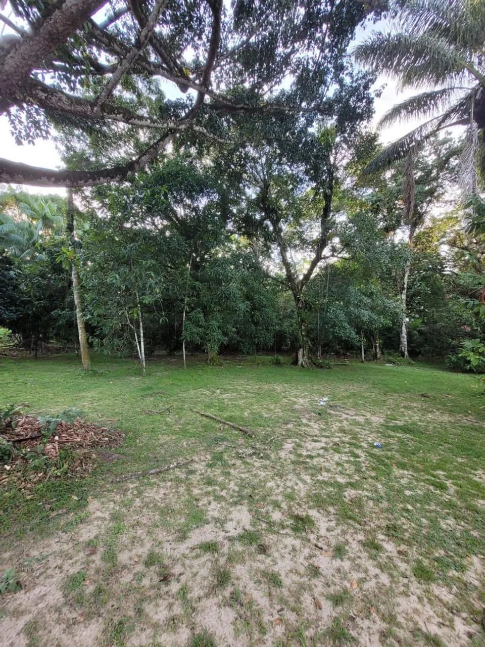 Vende-se sítio em Santa Barbará  - Foto 5