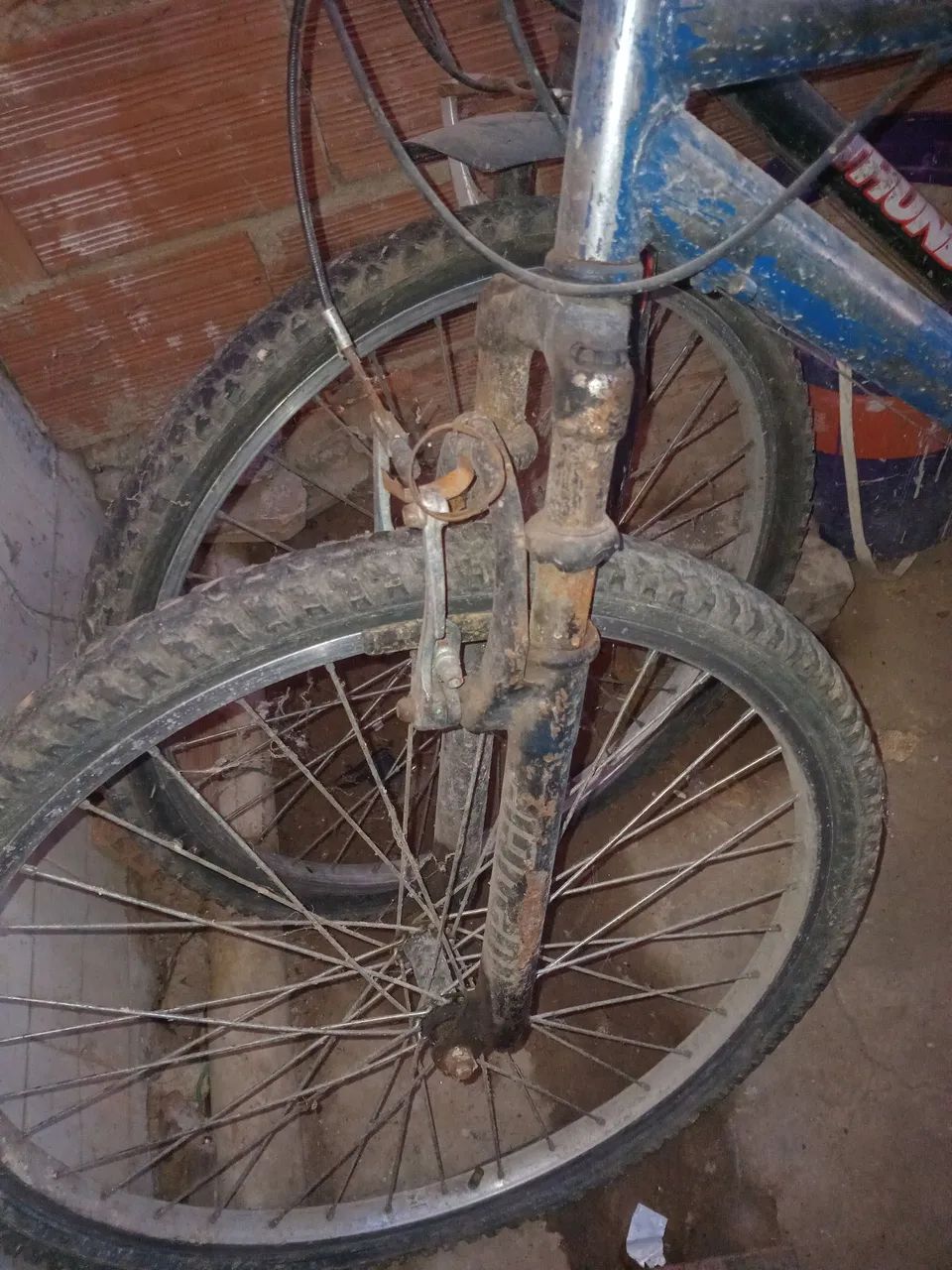 Bicicleta 