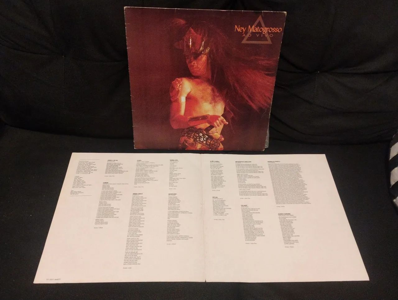 Vinil Ney Matogrosso - Ao Vivo (1989) (Disco, LP) - Foto 4