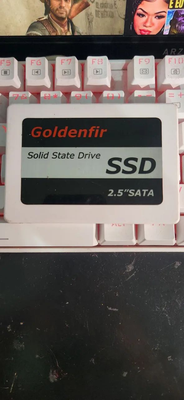 SSD goldenfir 90GB