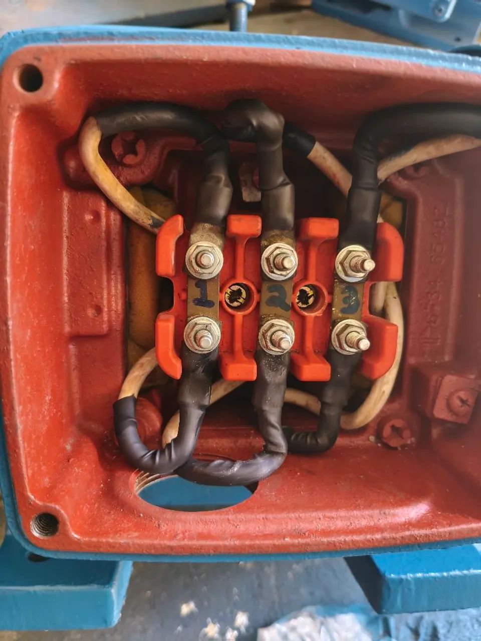 Motor 20 CV de alta Weg 