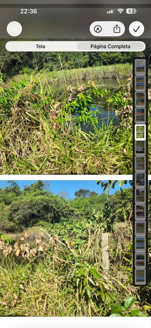 Fazenda em Uberlândia com altitude pra café  - Foto 3