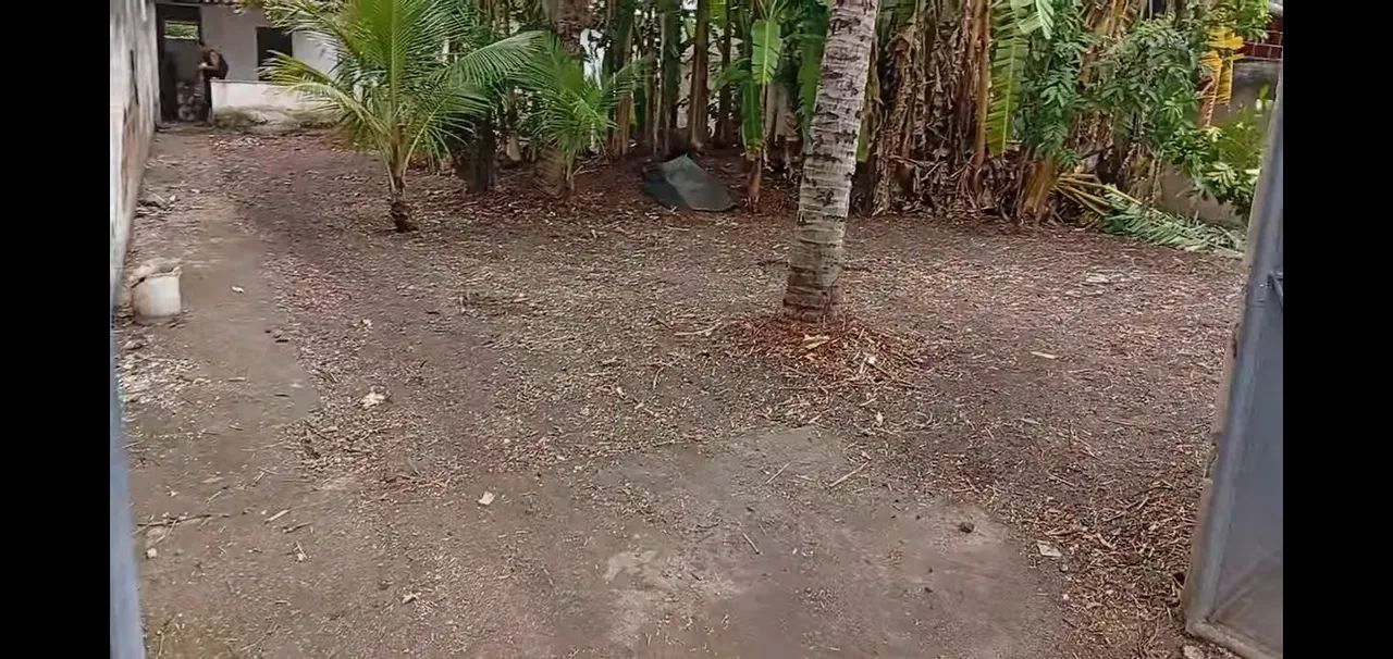 Limpeza de terreno e jardinagem em geral  - Foto 4