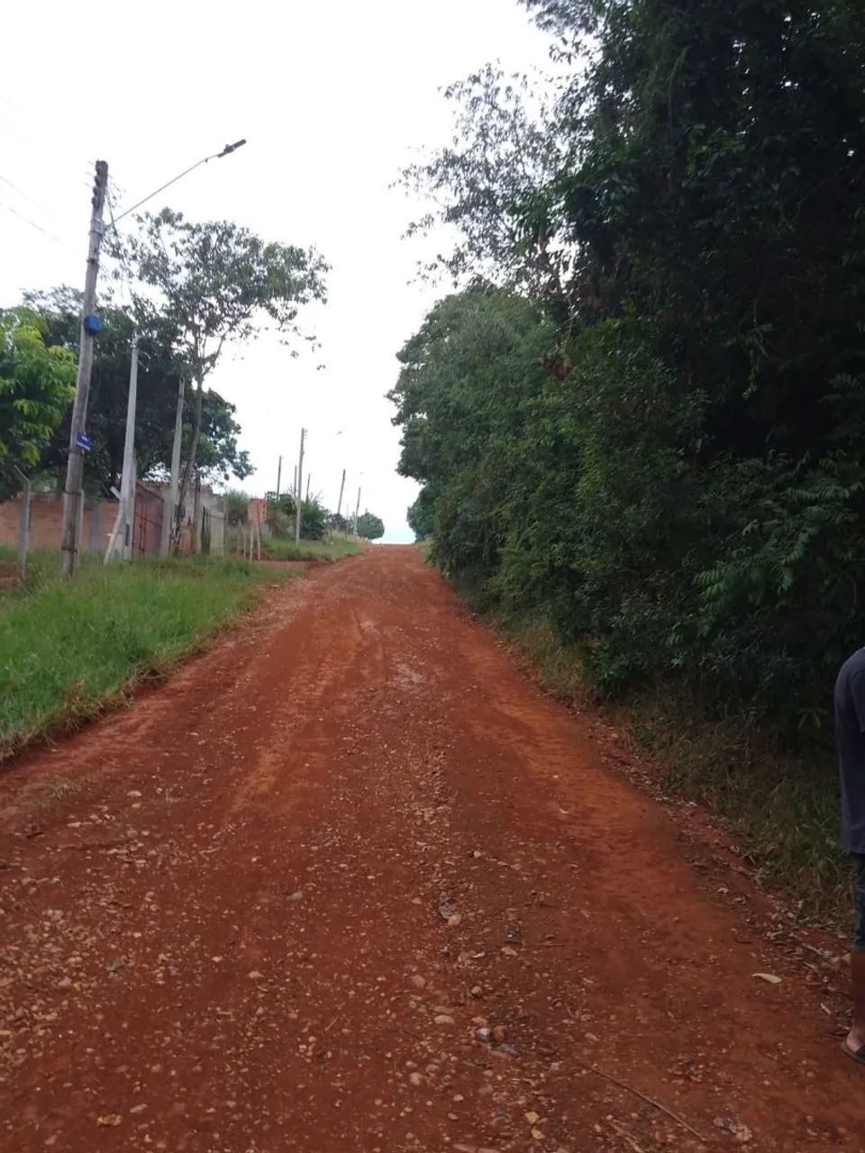 Foto - Santo André - Jardim Ana Maria