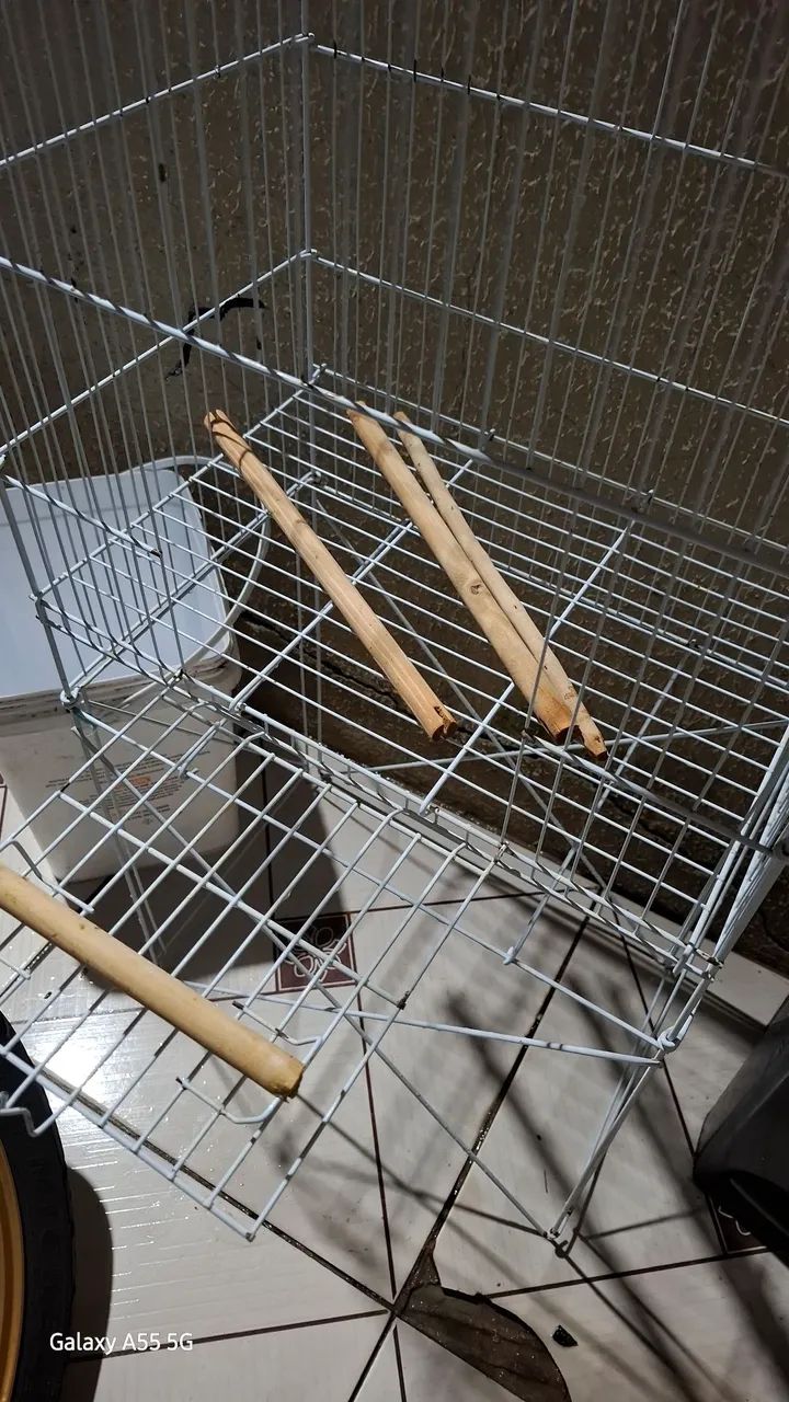 Viveiro calopsita papagaio periquito  - Foto 4