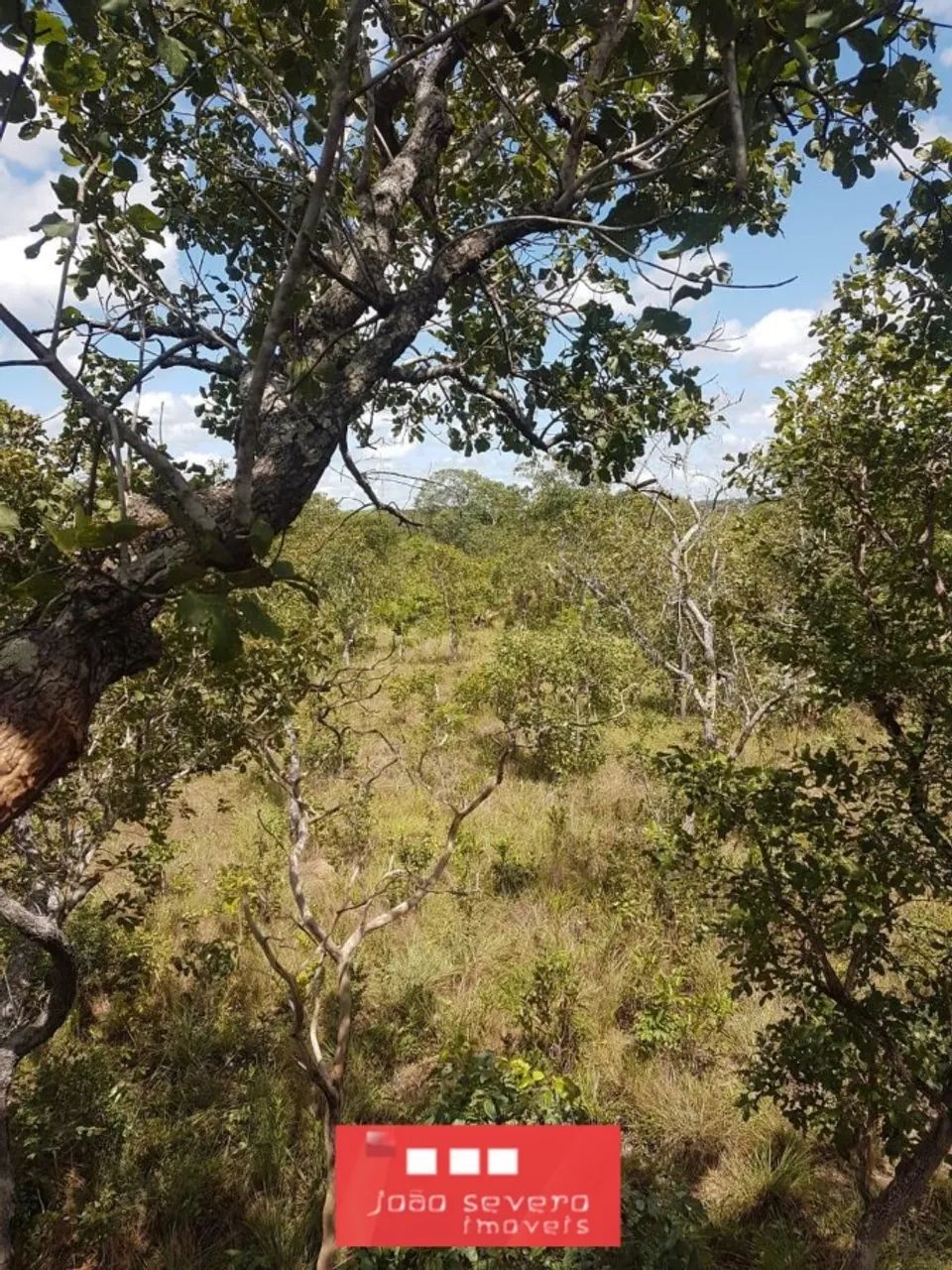 Fazenda para Venda em Rio Sono - Foto 2