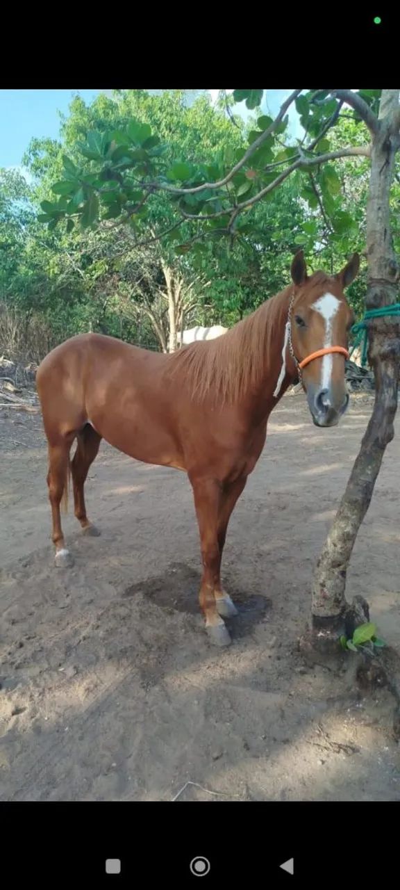 VENDO - Foto 5