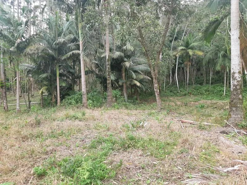 Terreno RIO DOS CEDROS - SC - Foto 5