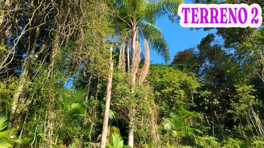 TERRENO EM VARGINHA - Ideal para sítio ou chácara - Foto 5