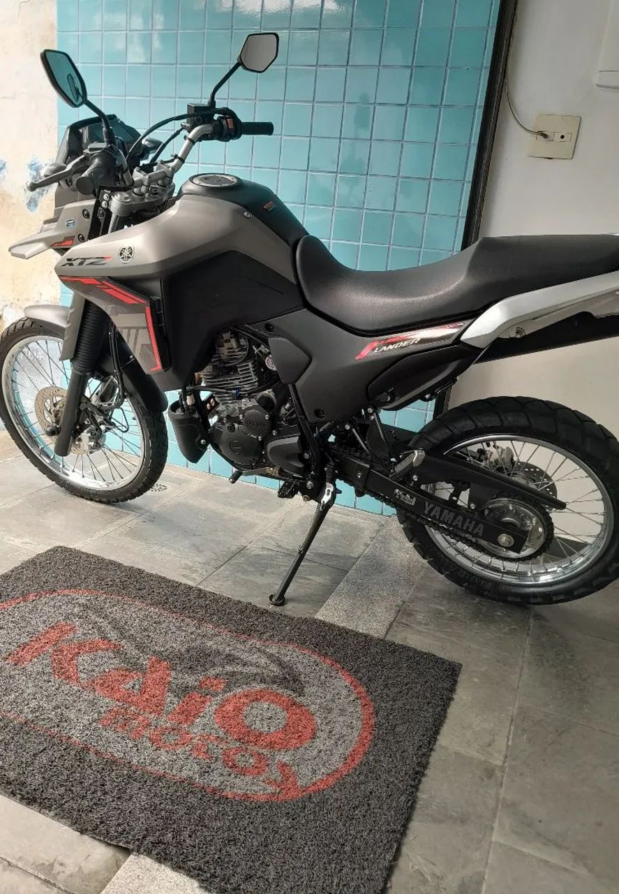 Lander 250 2025 - Foto 2