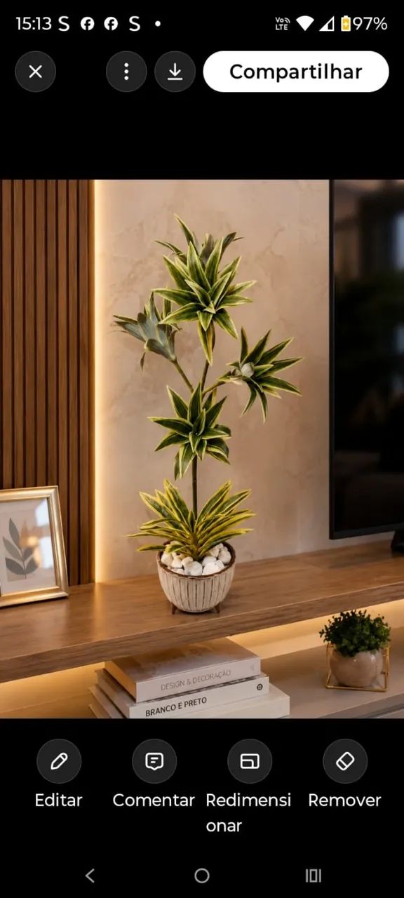 lindo arranjo de dracena brasileirinho permanente