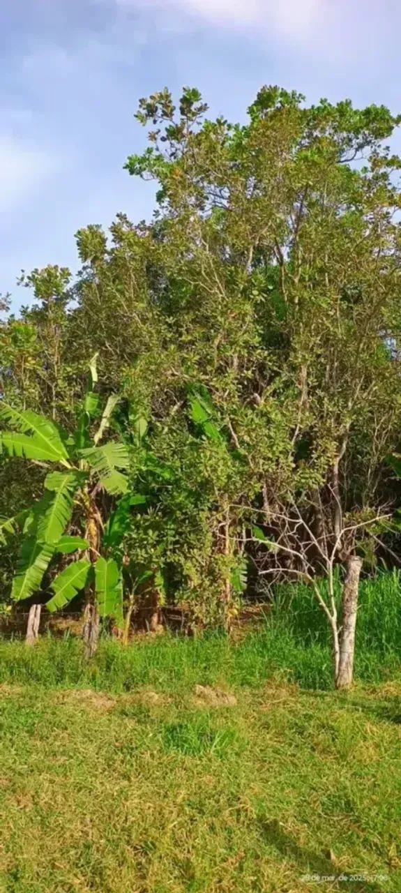 ÁREA DE 8.800 METROS LOCALIZADA NO BAIRRO CARDOSO PROX A AV RIO VERDE OPORTUNIDADE ÚNICA E - Foto 4