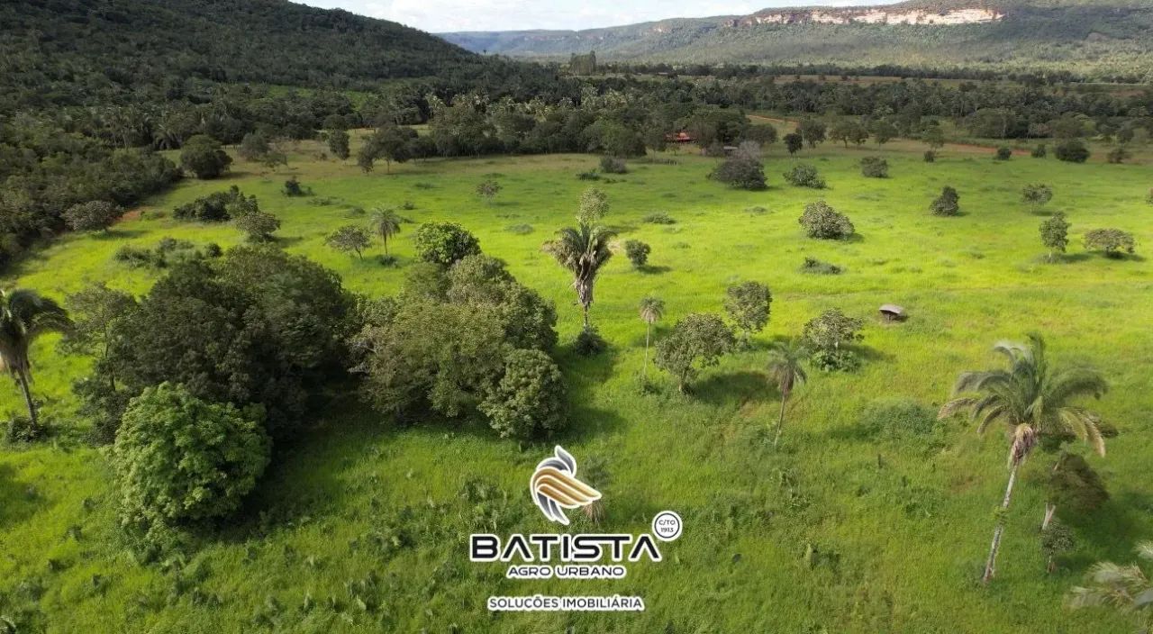 Fazenda 50 Alqueires, 36 km de Palmas - Foto 3