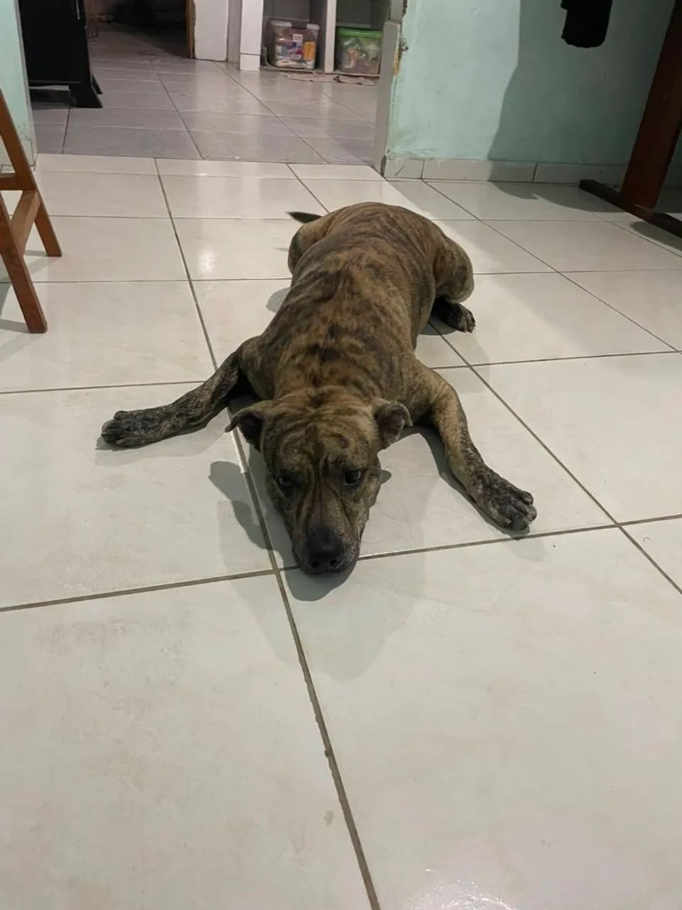 Doação  - Foto 2