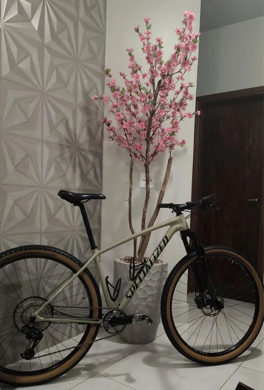 Bike specialized