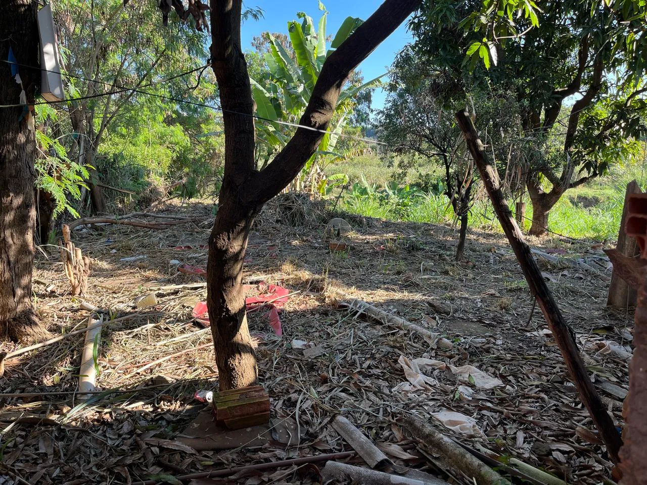 Vendo Casa, Terreno, Chácara - Foto 2