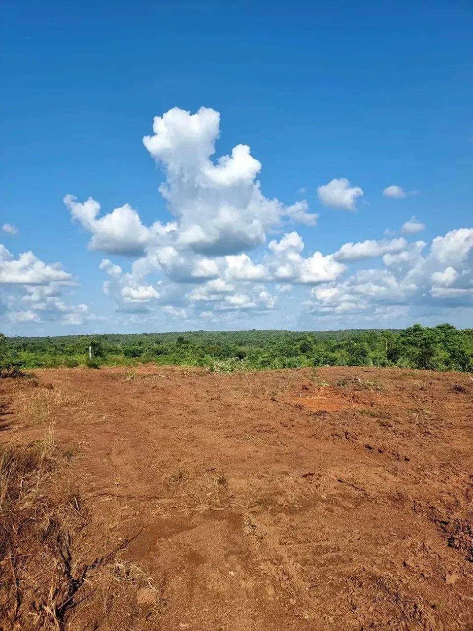Foco em Diferenciais e Valorização