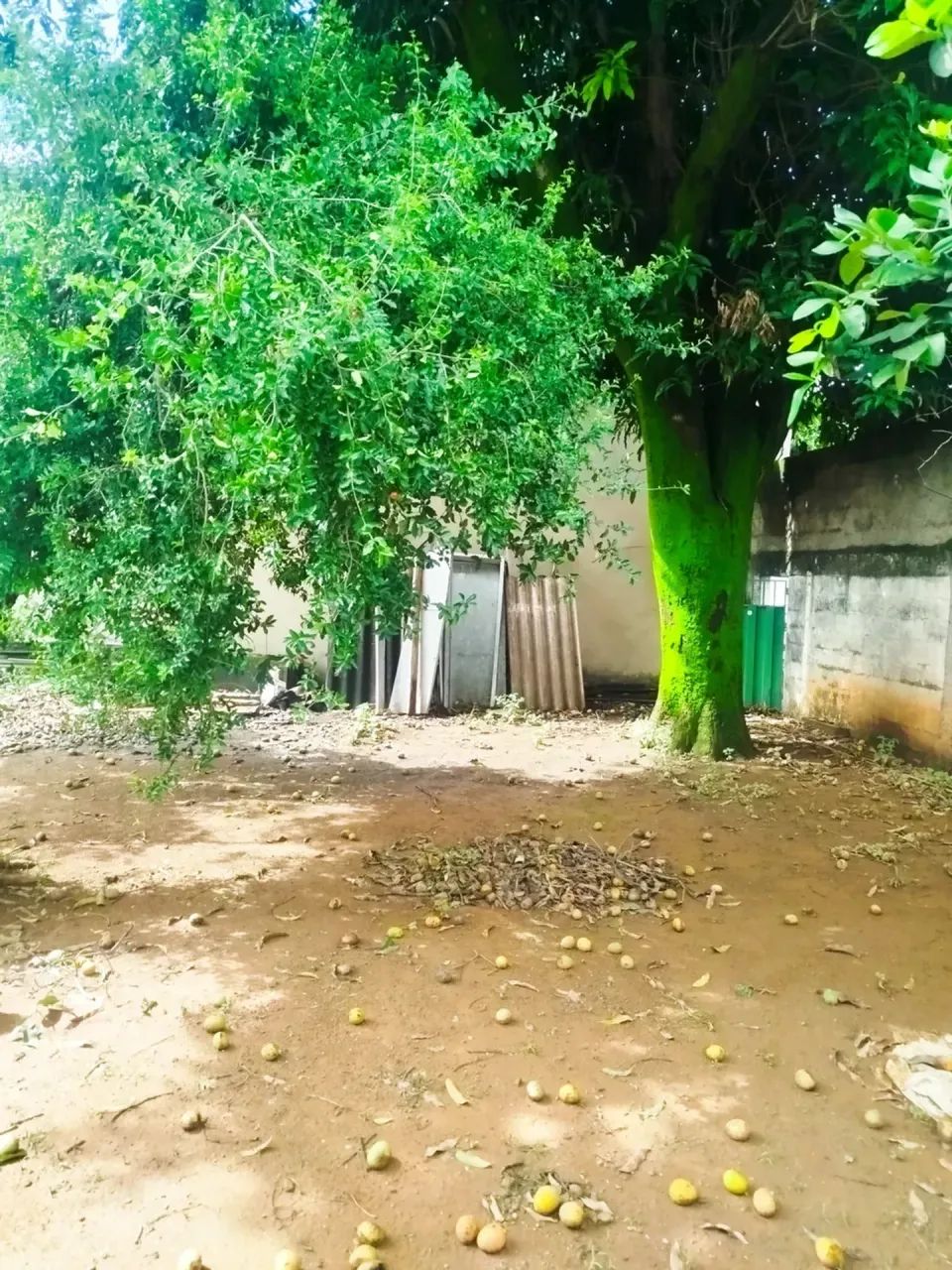 Lote com barracão no Tirol/ Barreiro - Foto 5