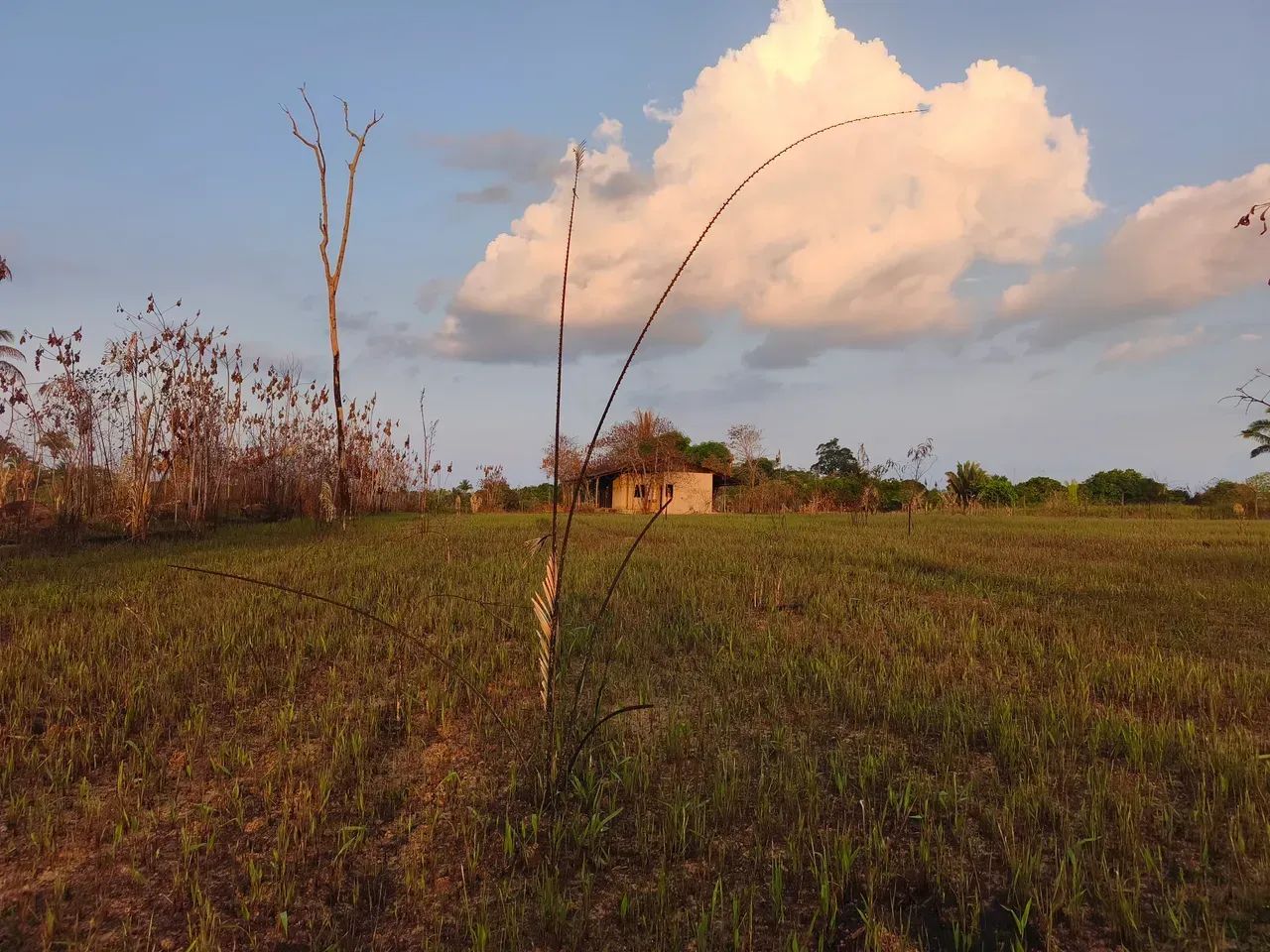 Ch ácara Terra Santa 100 x 300 - Foto 2