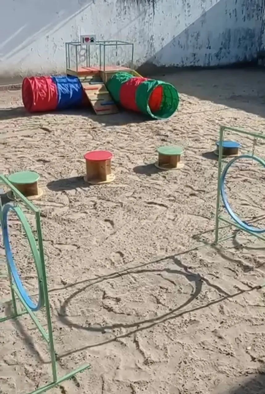 Vendo playground Pet !  