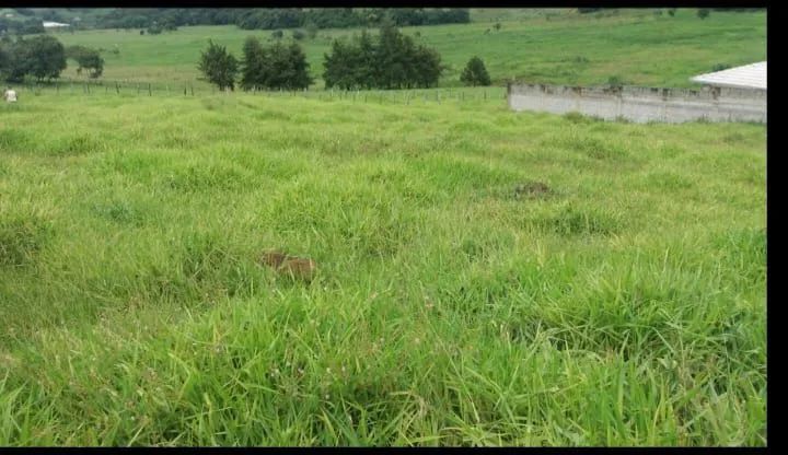 Excelente terreno para chácara  - Foto 5