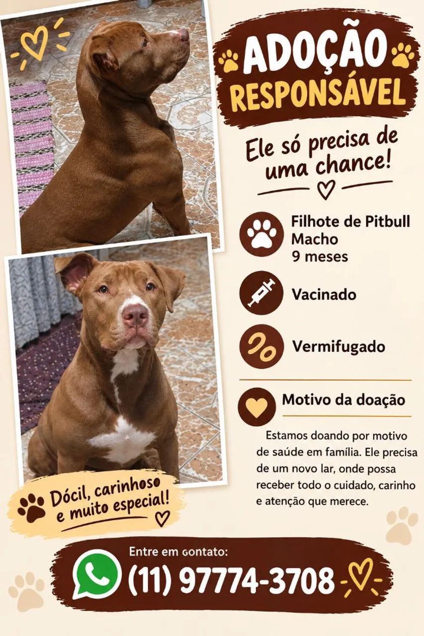 Doação 