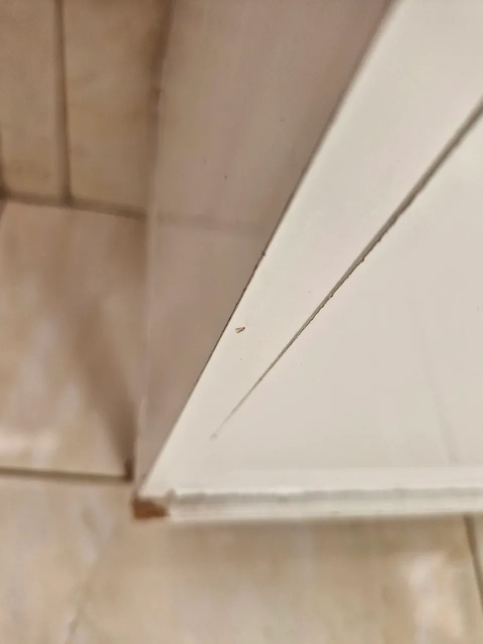 Armario multiuso - Foto 2