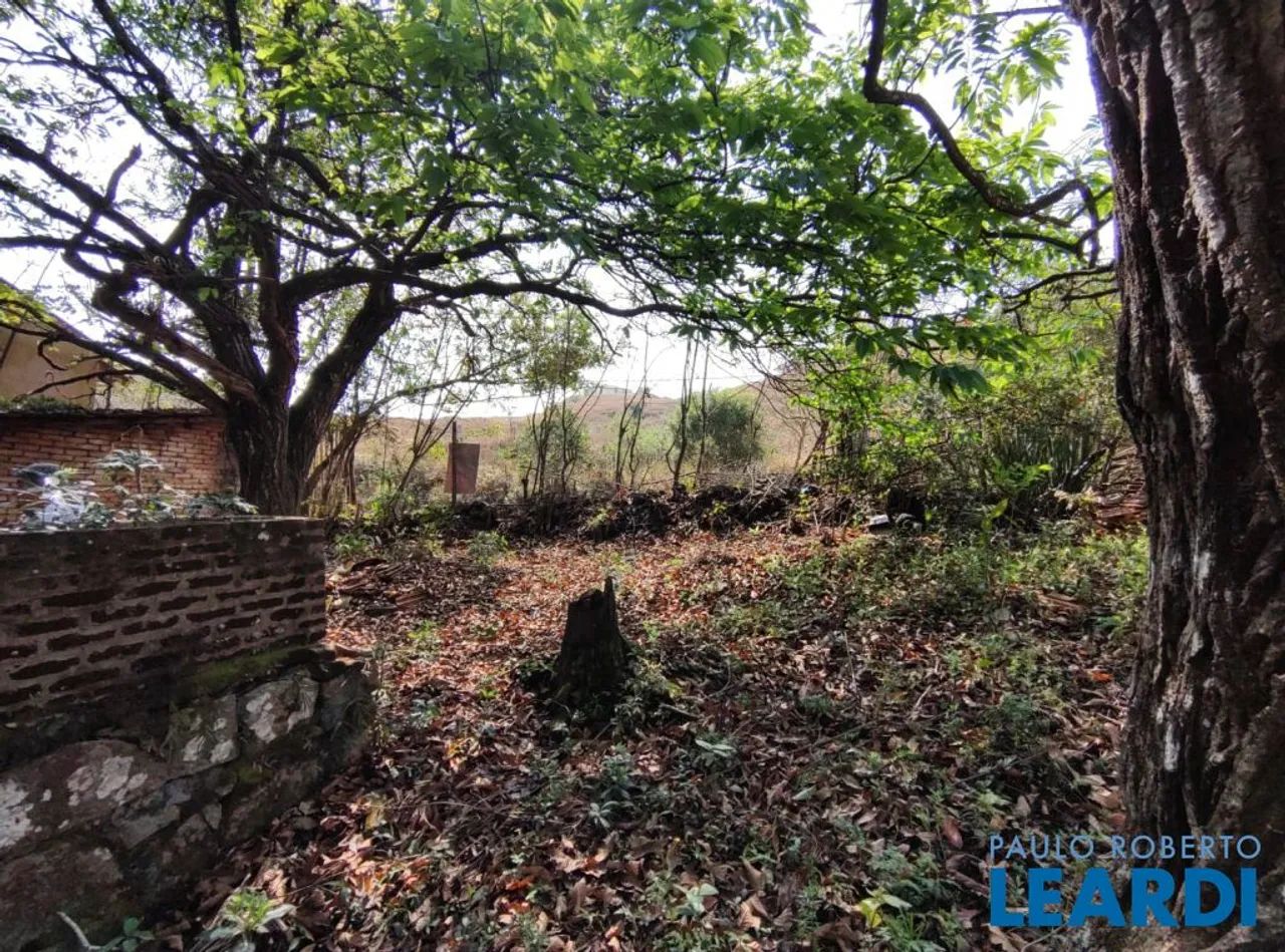 TERRENO - BIANUCCI - MG - Foto 3