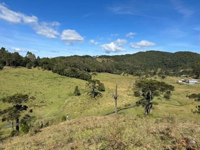 2 terrenos de 2,5 ha cada em Rancho Queimado ? a 1,5 km do Centro, documentação OK - Foto 2