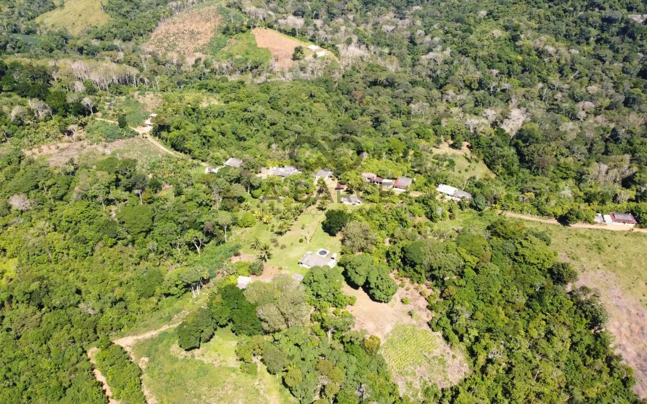 FAZENDA  SANTO ANTÔNIO - ILHÉUS/BA - Foto 4