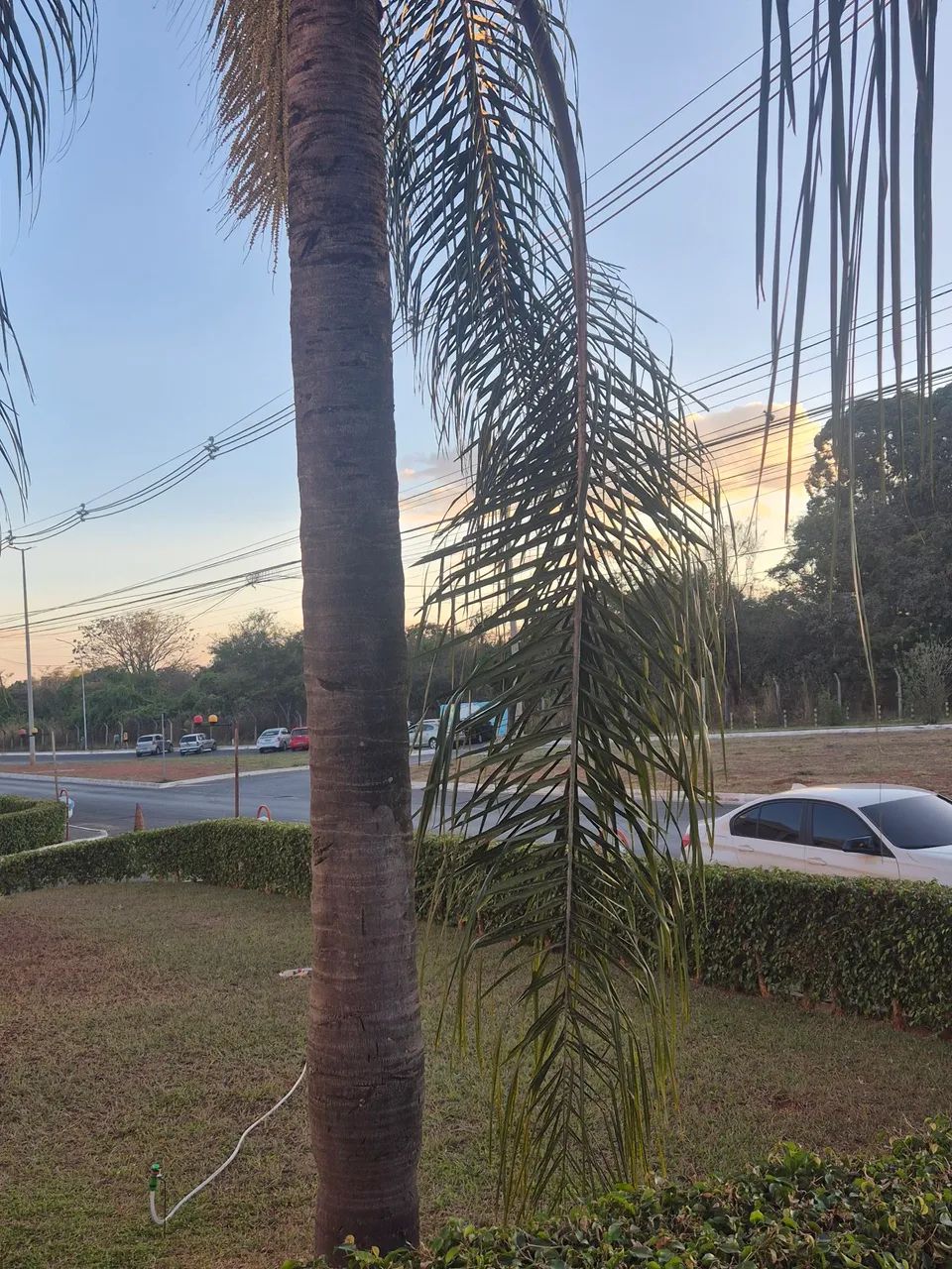 Apartamento de 2 quartos totalmente mobiliado - Foto 5