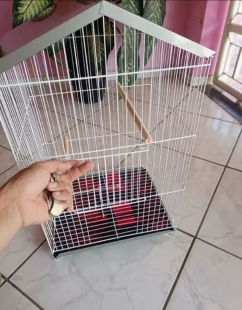 VENDE-SE GAIOLA - Foto 2