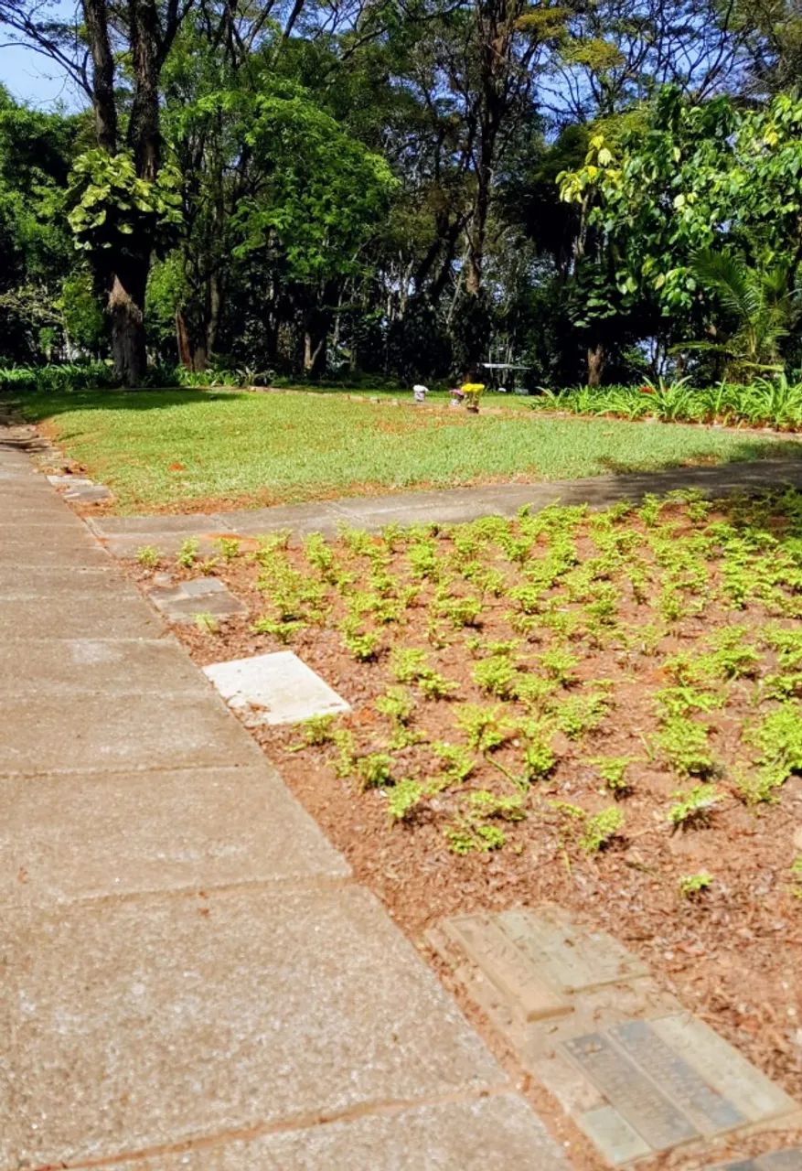Jazigo no Cemiterio da Paz Morumbi  - Foto 2