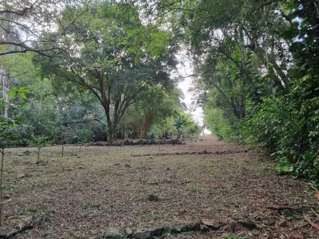 Terreno 3.009m² em Foz do Iguaçu - Foto 2