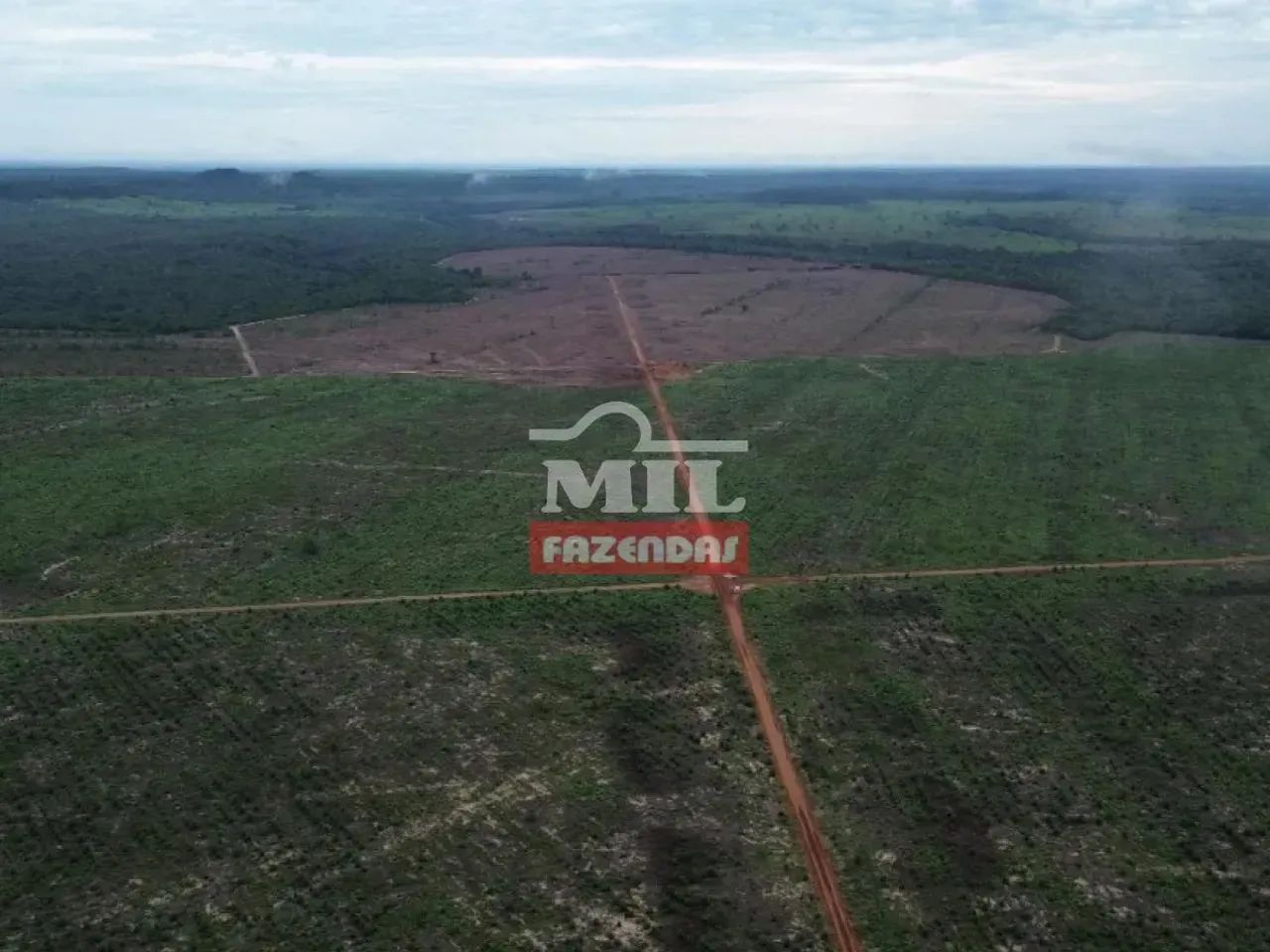 Fazenda 745 alqueires (3.607 hectares) Goiatins - Go