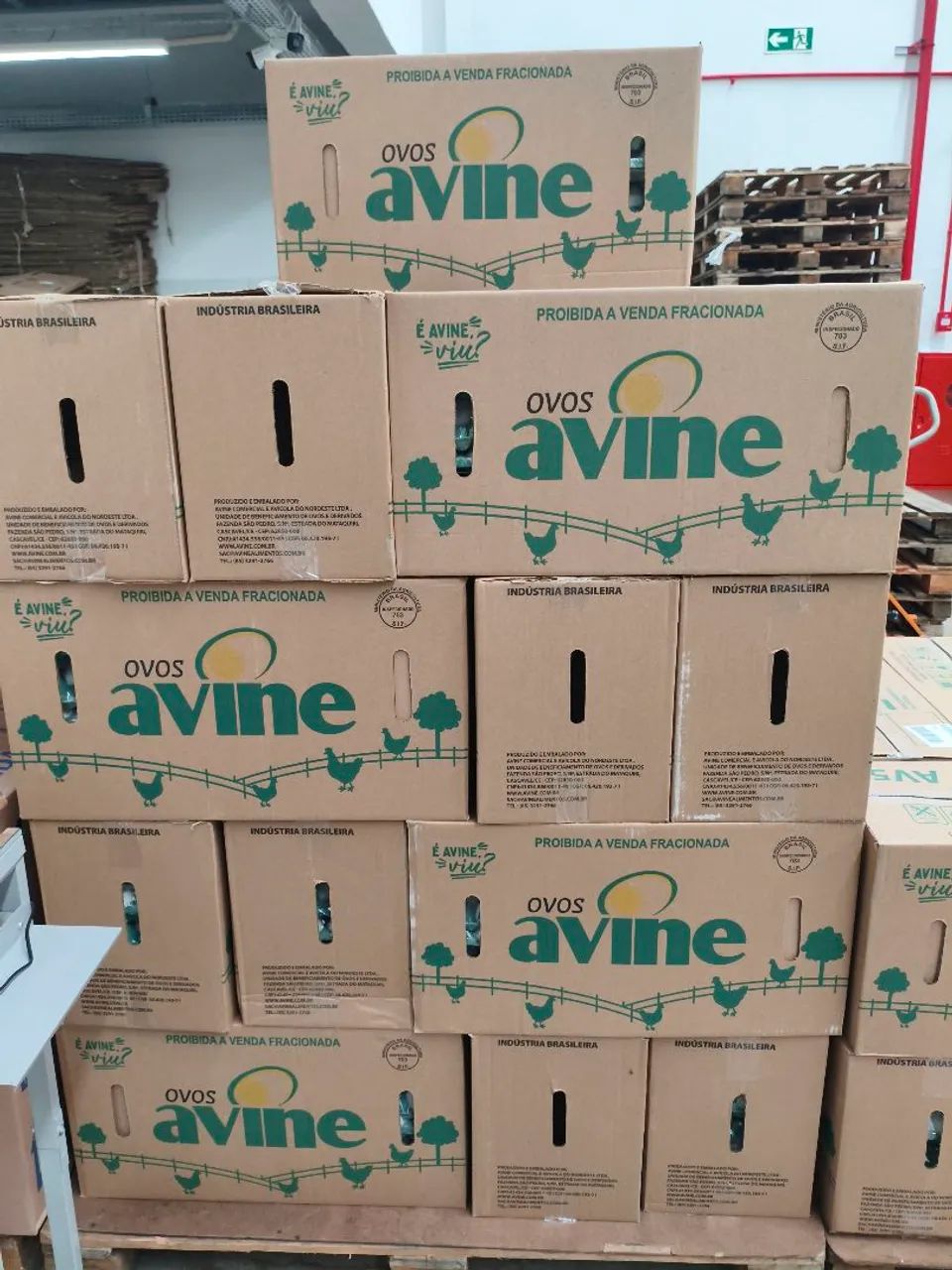 CAIXAS DE OVOS DE PAPELÃO.