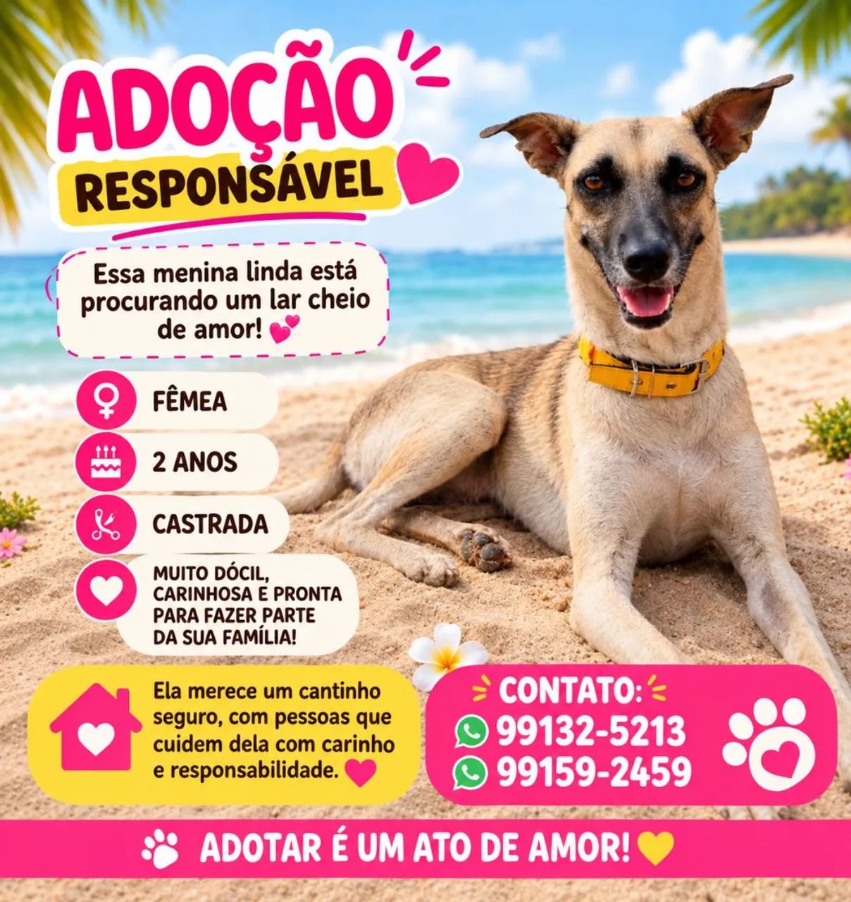 Adoção responsável 