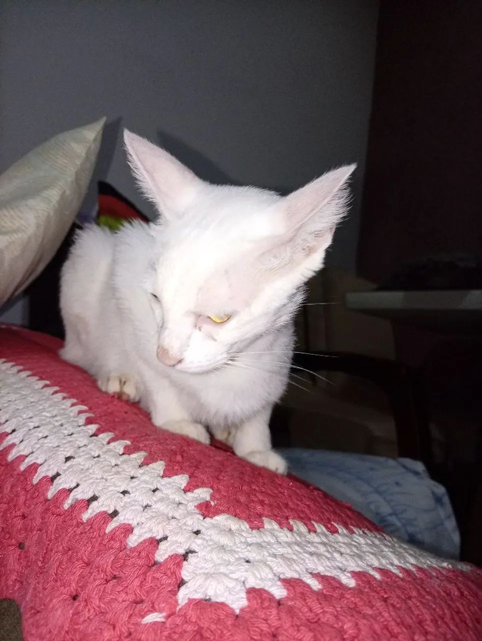 Gata 