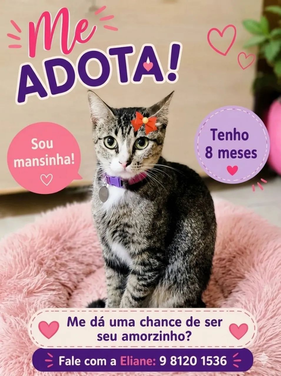 SÓ LINDEZAS - Foto 4