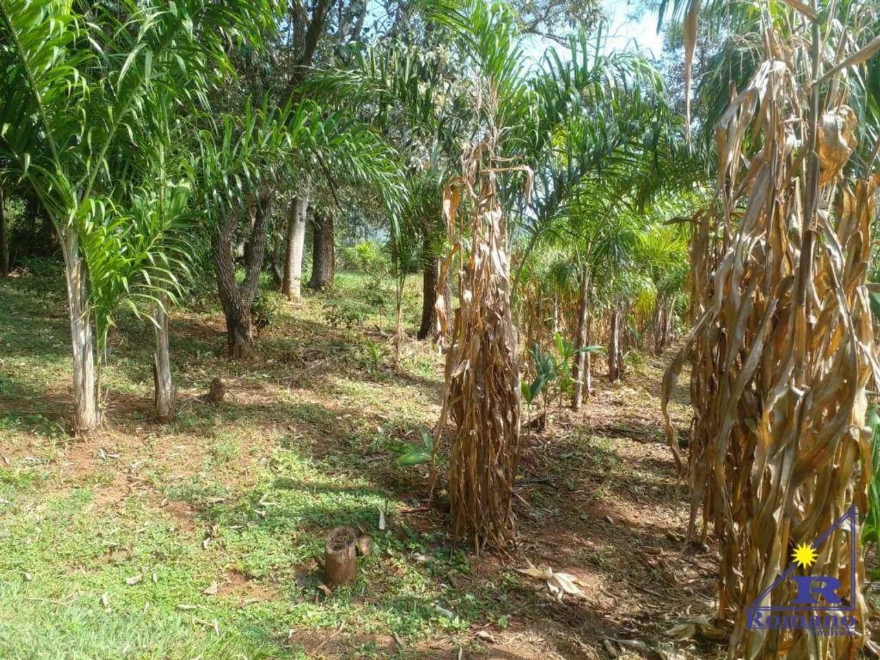 Terreno São Pedro....10.280 - Foto 2
