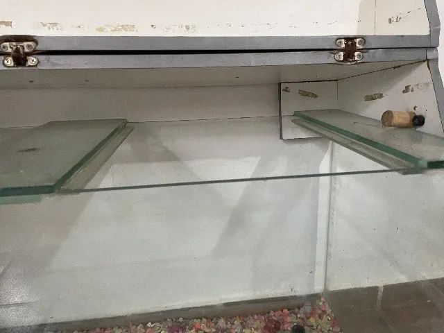 Aquário de 10 litros  - Foto 5