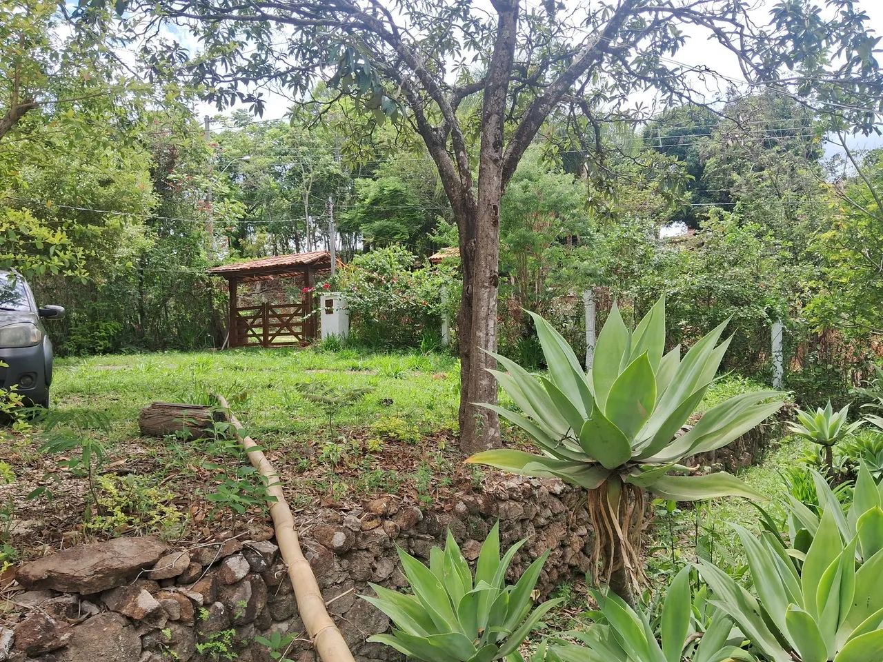 Sitio taquaraçu de minas  - Foto 5