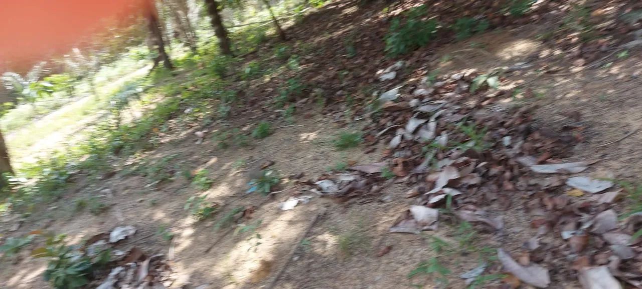 VENDE-SE SITIO - Foto 12