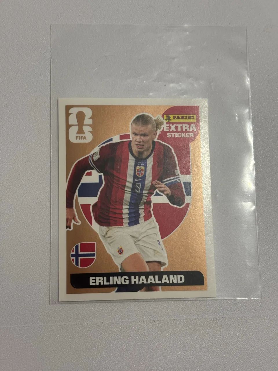 LEGEND HAALAND BRONZE - Foto 2